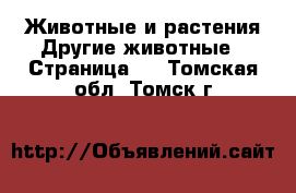 Животные и растения Другие животные - Страница 4 . Томская обл.,Томск г.